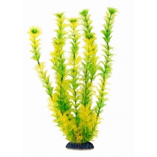 Рослина акваріумна Aquatic Plants 46см